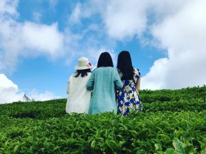 du licca3ch da lacca3t dung quen ghe check in doi che cau dat 149 5 New Travel