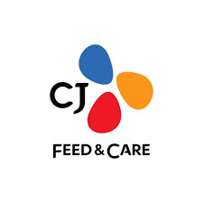 z3726812129444 64726a776c004b46ed46a2f553d9afde New Travel