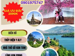 PHÚ YÊN – TP. PLEIKU– MĂNG ĐEN