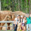 l safari phu quoc1 New Travel