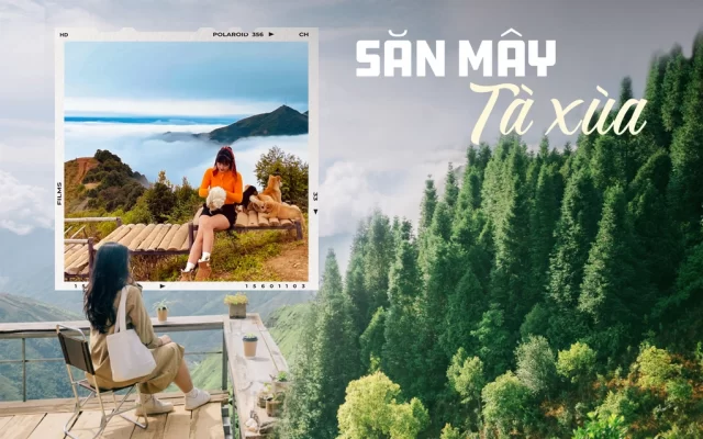 ngang 1666593046520709410859 0 0 639 1022 crop 16665930544581076720725 New Travel