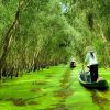TOUR MIỀN TÂY 2N1Đ 1 New Travel rung tram New Travel