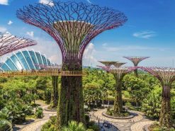 ĐÀ NẴNG - SINGAPORE - MALAYSIA 5N4Đ