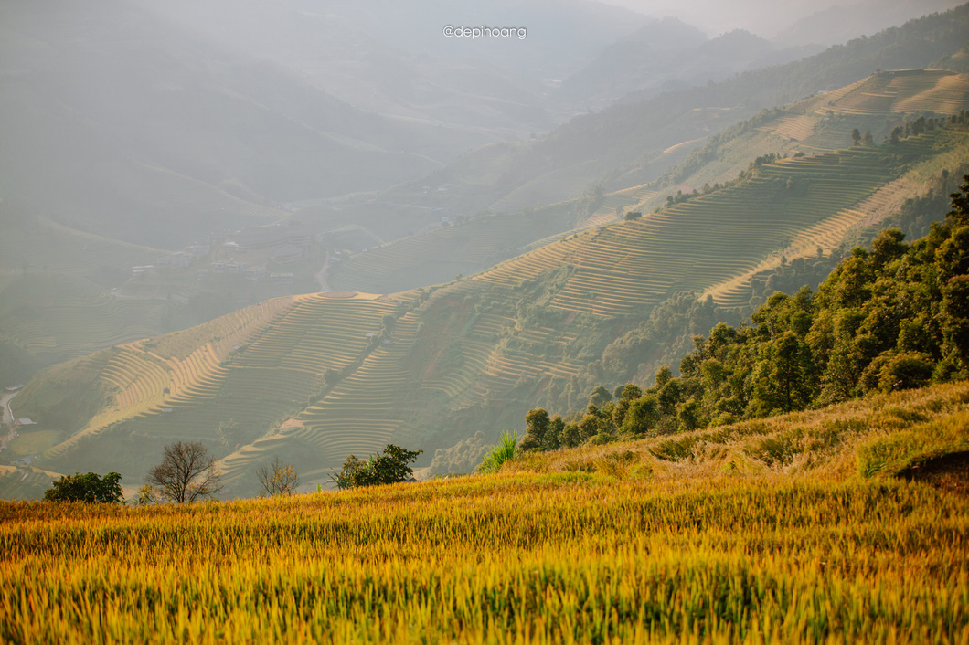 Tháng 9 lên Mù Cang Chải ngắm mùa vàng chảy tràn trên triền núi - Ảnh 6.