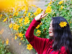 ĐÀ LẠT MÙA HOA GIẢ QUỲ